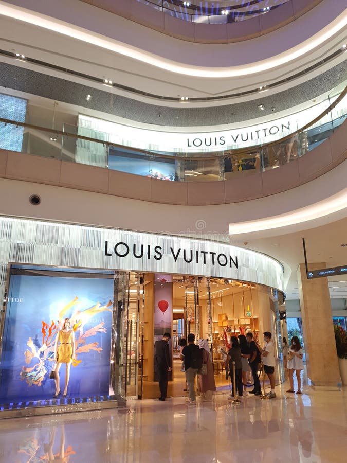 760+ Louis Vuitton Store Stock Photos, Pictures & Royalty-Free