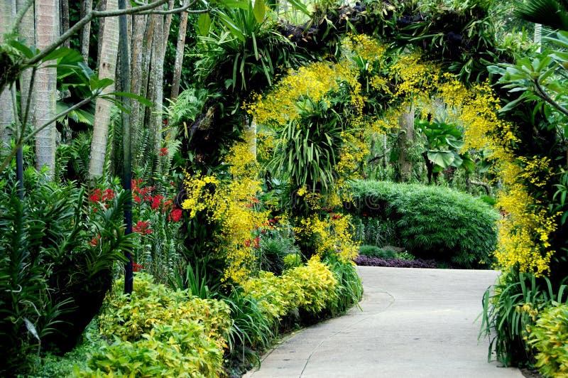 Singapore: National Orchid Garden