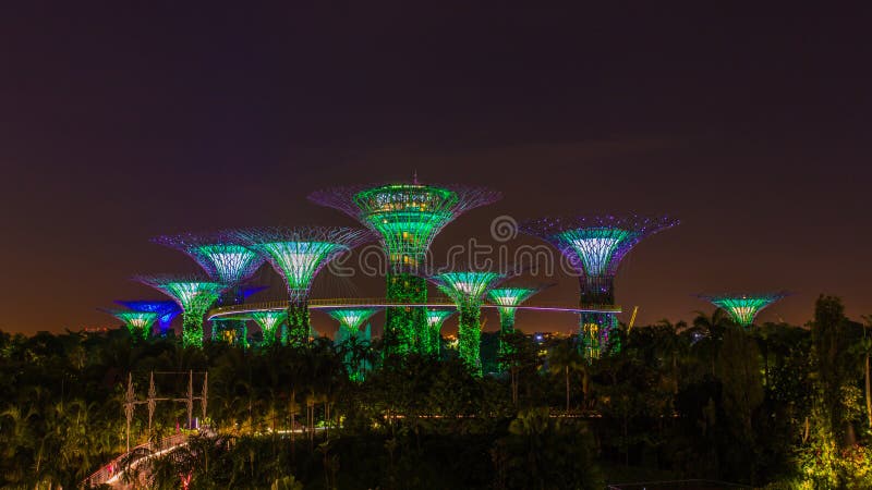 SINGAPORE -21 NOVEMBRE 2016: Supertrees si è illuminato per lo spettacolo di luci in giardini dalla baia nella notte fotografie stock SINGAPORE -21 NOVEMBRE 2016: Supertrees si è illuminato per lo spettacolo di luci in giardini dalla baia nella notte fotografie stock