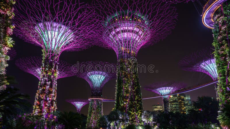 Singapore - oktober 16, 2018: supertrees van tuinen door de baai bij nacht royalty-vrije stock afbeeldingen Singapore - oktober 16, 2018: supertrees van tuinen door de baai bij nacht royalty-vrije stock afbeeldingen