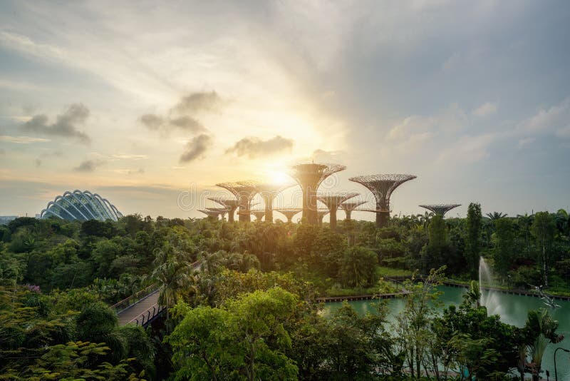 Singapore Supertrees in giardino dalla baia nel moring alla baia del sud fotografia stock Singapore Supertrees in giardino dalla baia nel moring alla baia del sud fotografia stock