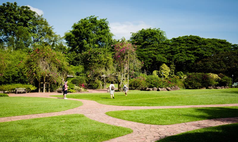 Singapour-16 juin 2018 : on se détend dans la pelouse du jardin botanique de Singapour photographie stock Singapour-16 juin 2018 : on se détend dans la pelouse du jardin botanique de Singapour photographie stock