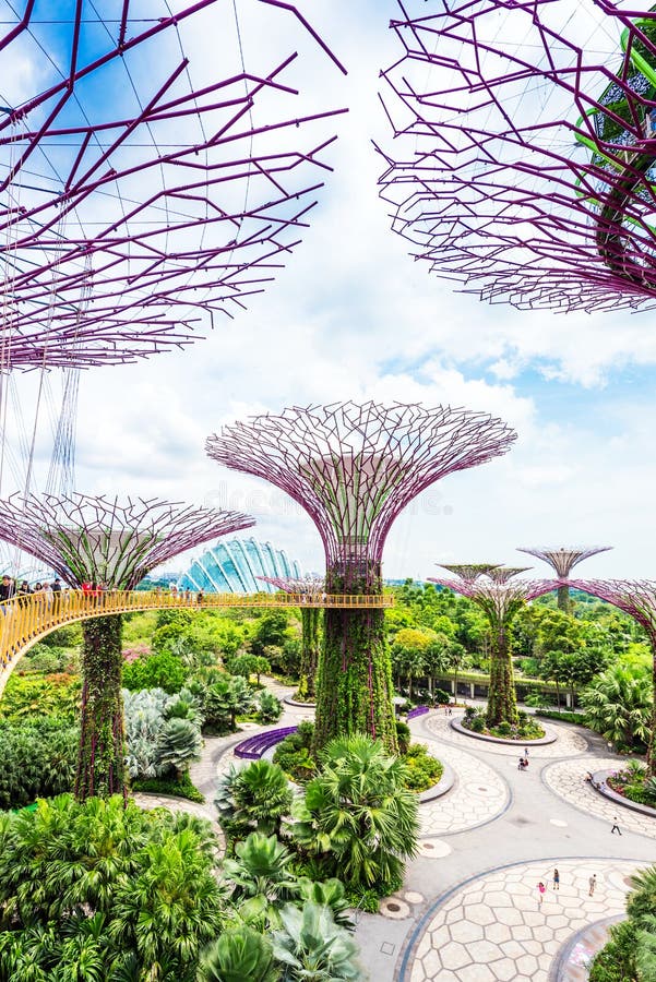 SINGAPUR - 11. NOVEMBER 2018: Superbaumhain im Garten an der Bucht Vertikal stockfotos SINGAPUR - 11. NOVEMBER 2018: Superbaumhain im Garten an der Bucht Vertikal stockfotos