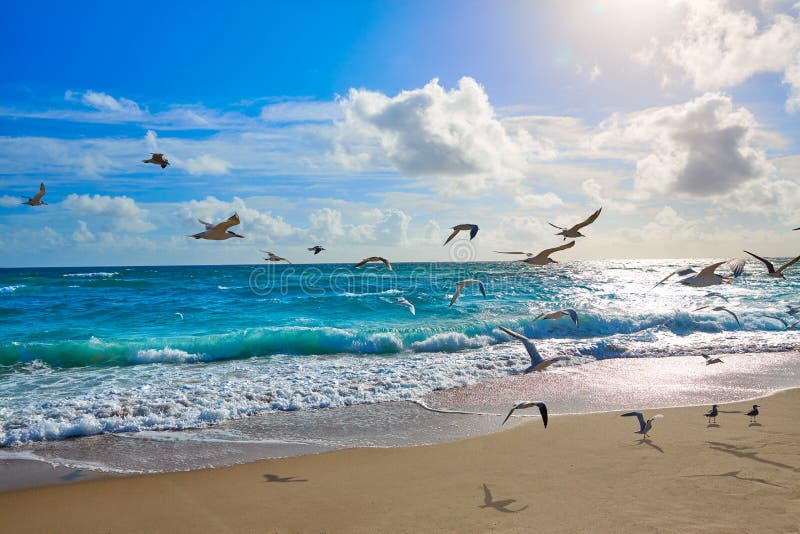 Singer Island beach at Palm Beach Florida US stock photos Singer Island beach at Palm Beach Florida US stock photos