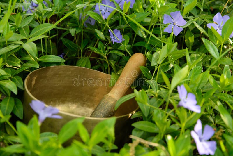 Singing Bowl among Flowers Cornflower Stock Image Image of aura