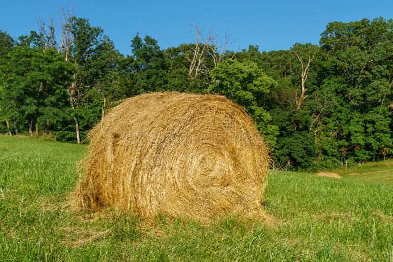Single Bale of Hay on the Grass in Front of the Treeline Stock Photo