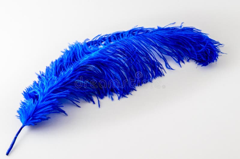 Blue Ostrich Feather stock image. Image of accessory, quill 6326111