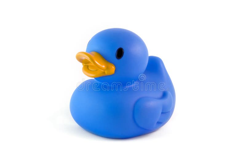 Single blue rubber duck stock image