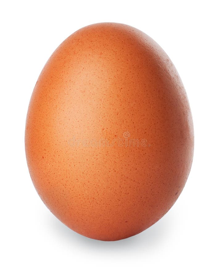 Single brown chicken egg isolated on white stock photo Single brown chicken egg isolated on white stock photo