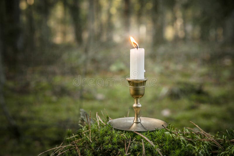 Single Candle Burning in Forest. Stock Photo Image of darkness
