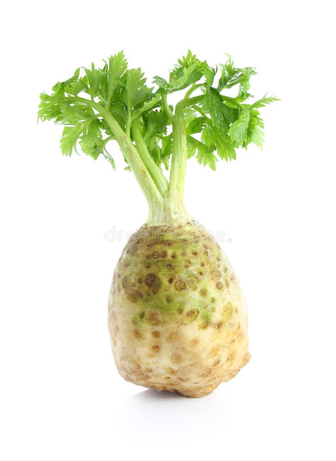 Single celery stalk stock image. Image of stem, organic 38402503