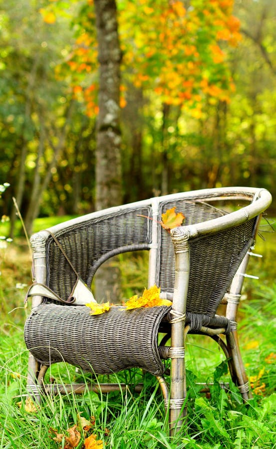 208 Single Chair Autumn Background Forest Stock Photos - Free &  Royalty-Free Stock Photos from Dreamstime