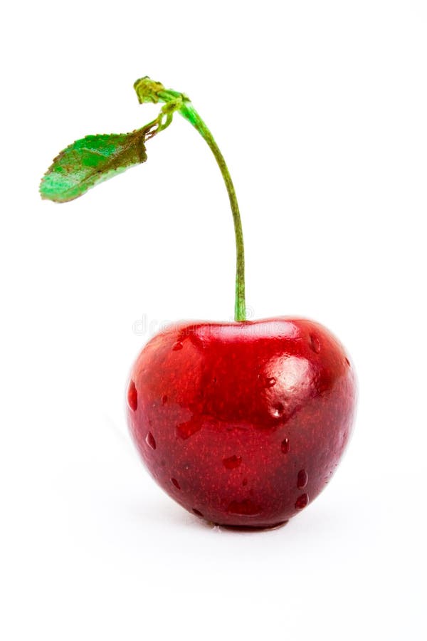 A single cherry with stem