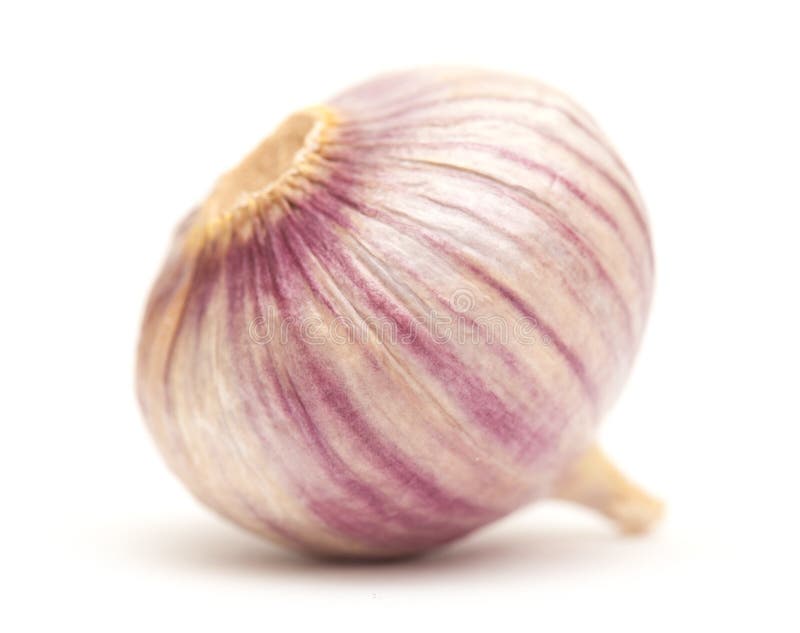 Single clove garlic stock photo. Image of single, purple 35637054