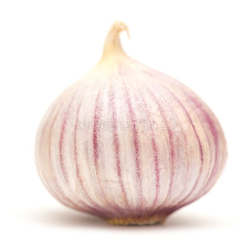 Single Clove Garlic Stock Photo Image Of Single Quick 35637036