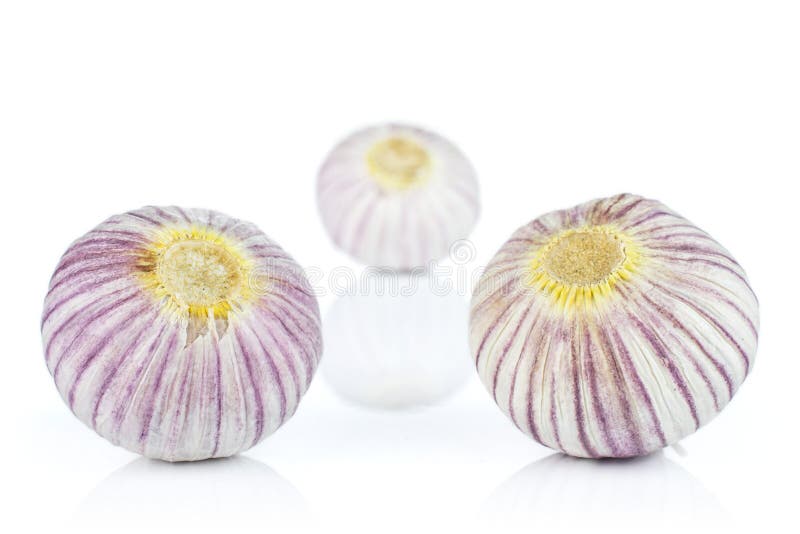 Single Clove Garlic Isolated on White Stock Photo Image of ingredient