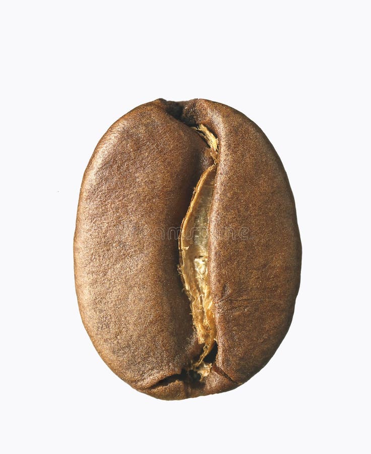 Single coffee bean