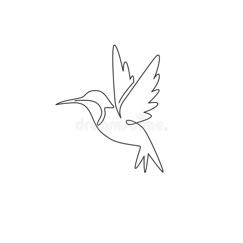 Continuous Line Drawing Hummingbird Stock Illustrations – 248 ...