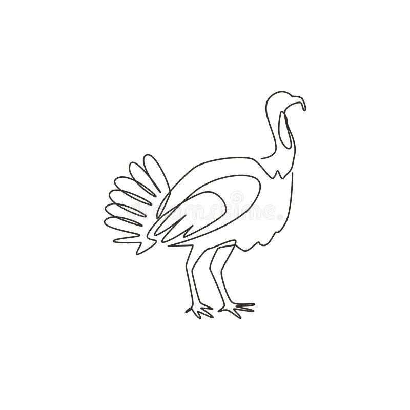 Featured image of post Turkey Line Drawing Follow our simple step by step lessons as we guide you through every single line and stroke