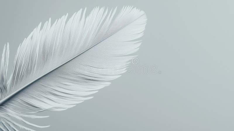 A single feather in a light blue background. royalty free stock photo