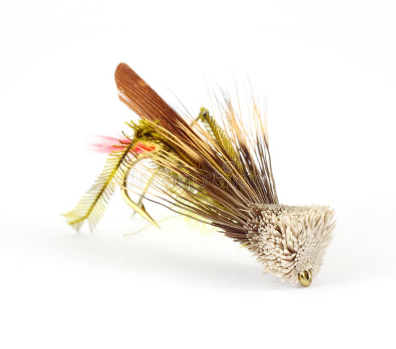 132 Fishing Grasshopper Stock Photos - Free & Royalty-Free Stock