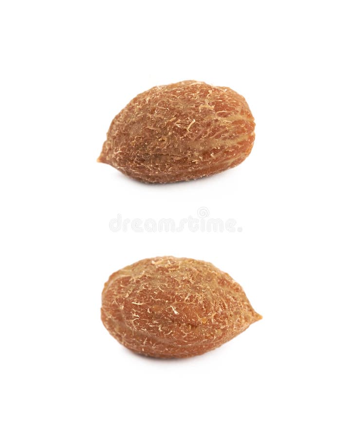 Single Green Olive Pit Isolated Stock Image Image of gourmet, object