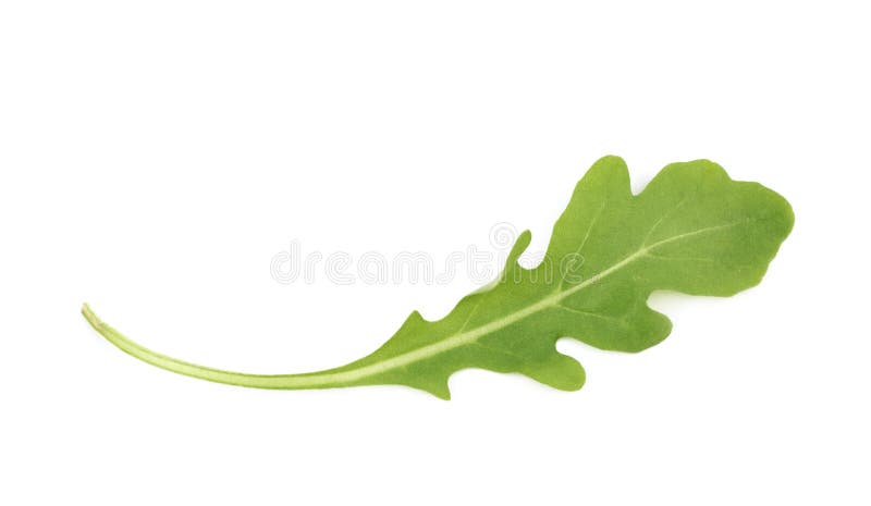 Roquette leaves hi-res stock photography and images - Alamy