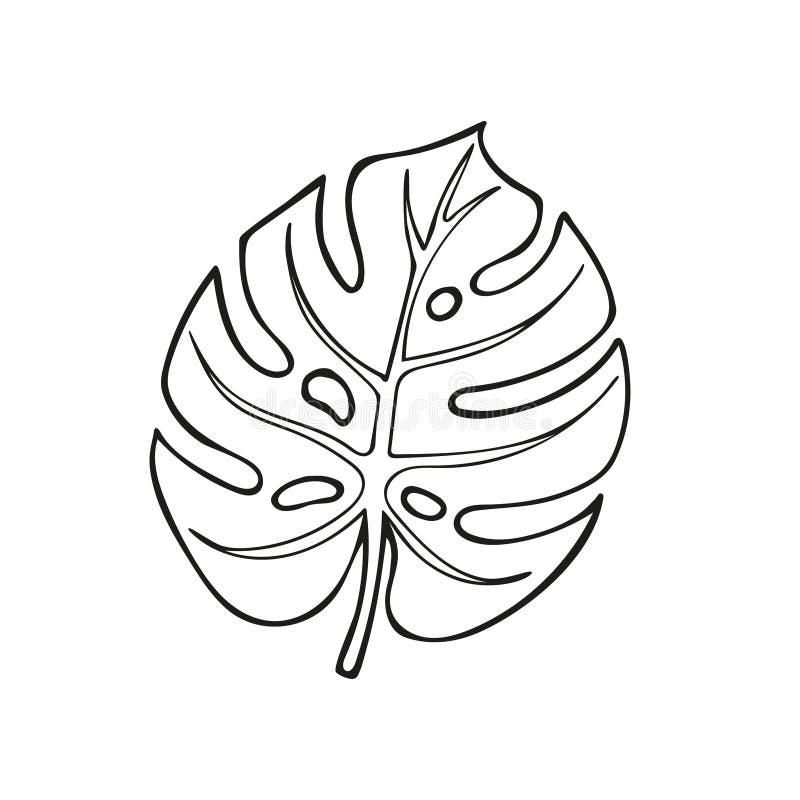 Printable Monstera Leaf Outline