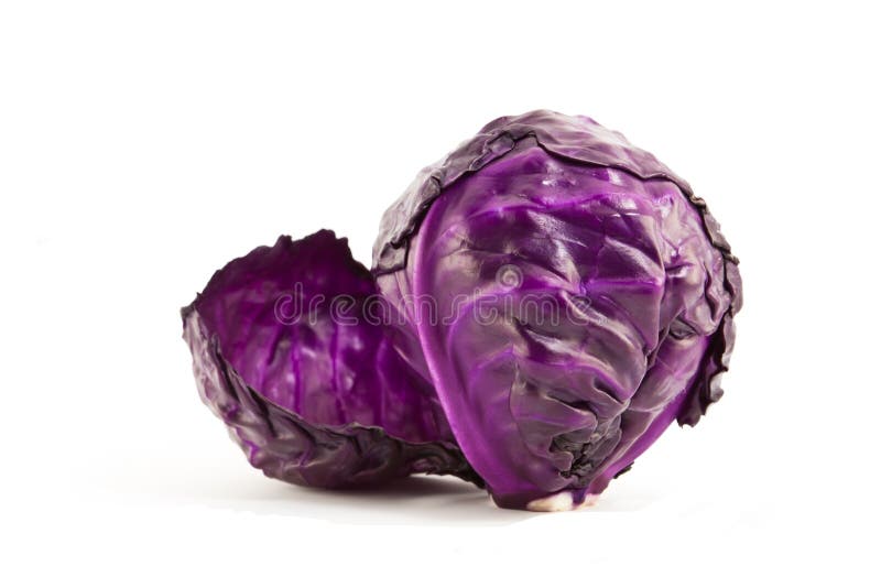 Single head of purple cabbage.