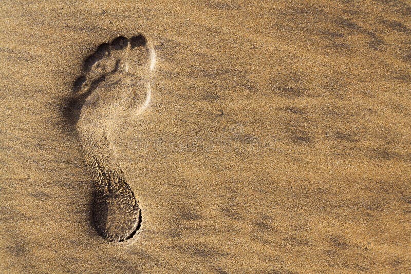 Single human barefoot footprint of left foot in brown yellow sand beach background, summer vacation or climate change concept stock image Single human barefoot footprint of left foot in brown yellow sand beach background, summer vacation or climate change concept stock image