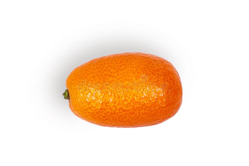 Kumquat Fruit Isolated on White Background Stock Photo Image of diet