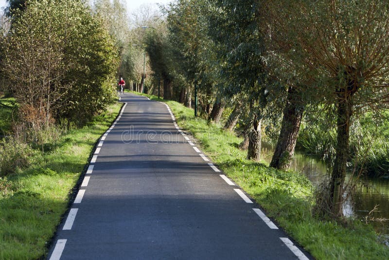 Lane road. Однополосная дорога. Двухсторонняя дорога. Двухсторонняя дорога фото. Lane way.