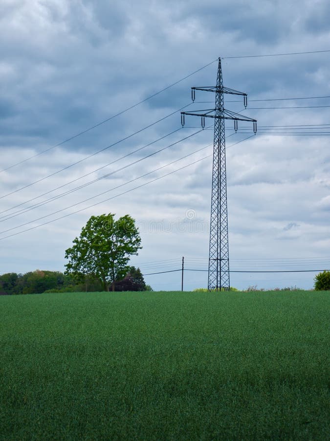 Single Large Power Pole Stands in Nature Stock Image Image of nature