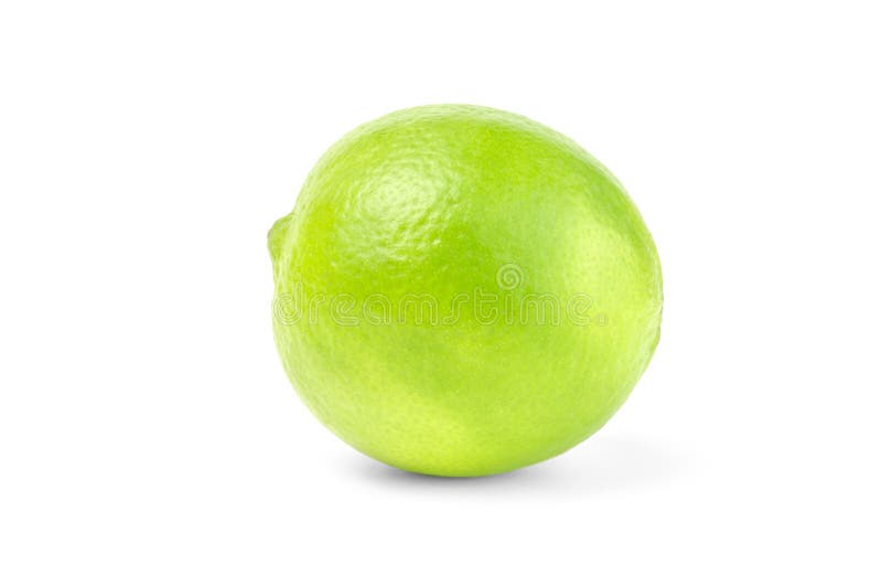Single Lime on White Background Stock Image Image of fresh, healthy