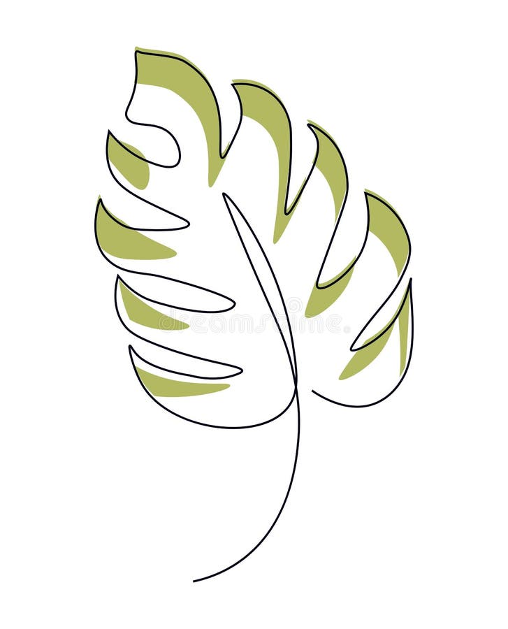 Single Line Contour Drawing of a Tropical Leaf. Monstera Leaf Drawn