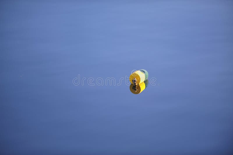 Single lone lobster float on calm New England waters stock photo