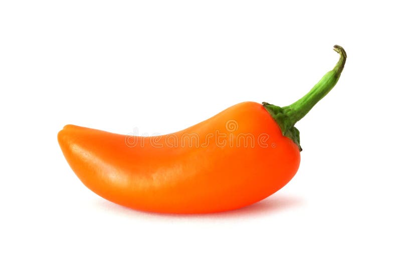 Single orange mini sweet pepper isolated on a white background. Single orange mini sweet pepper isolated on a white background