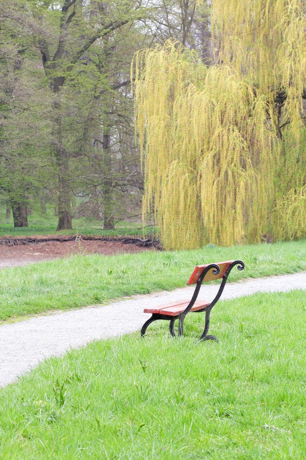 Single park bench with footpath and willow tree