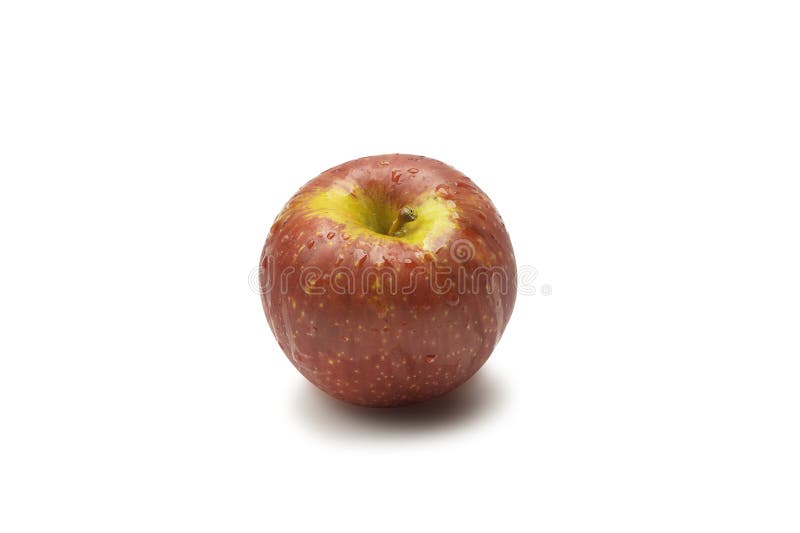 Organic Ambrosia Apples