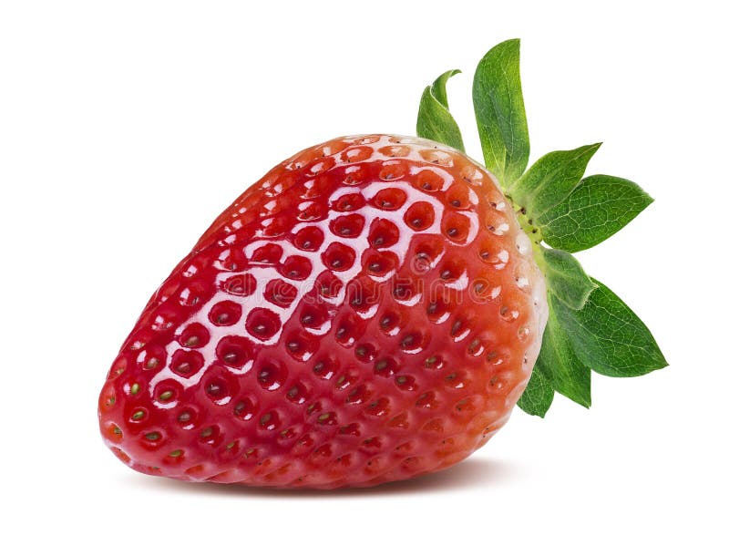 20,881 Single Strawberry White Stock Photos - Free & Royalty