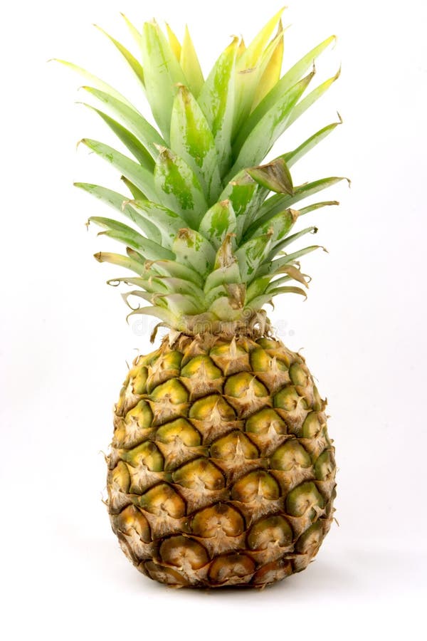Single Pineapple stock photo. Image of colors, natural 937648