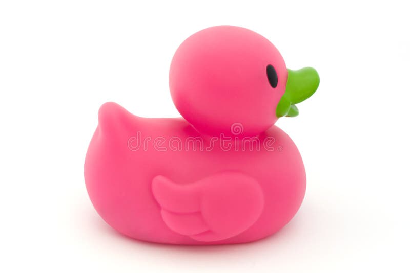 Single pink rubber duck on white