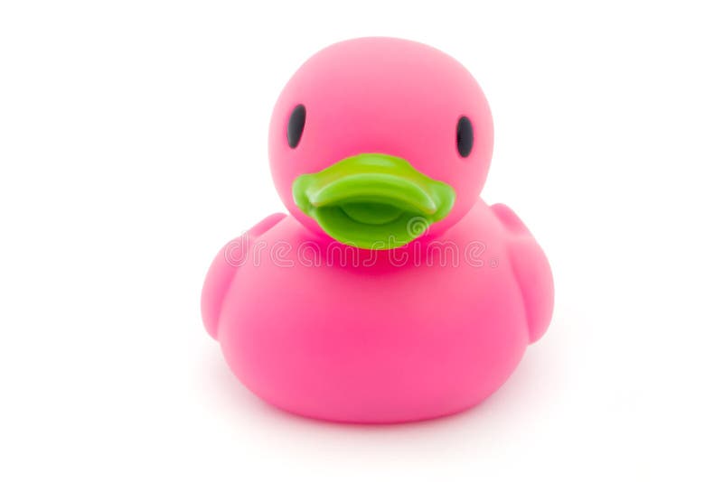 Single pink rubber duck on white