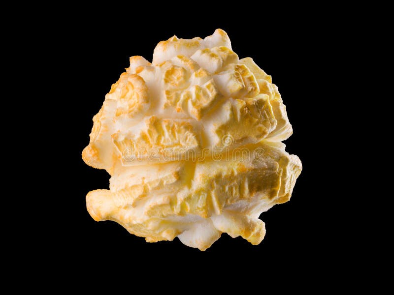 Single Popped Popcorn on a Black Background. Closeup or Macro with