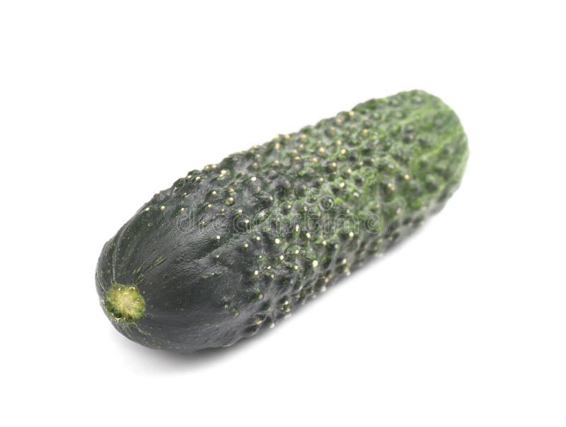 Single, raw, organic and green cucumber, isolated on a white background. Summer harvest of fresh vegetables. Cucumbers. royalty free stock photography Single, raw, organic and green cucumber, isolated on a white background. Summer harvest of fresh vegetables. Cucumbers. royalty free stock photography