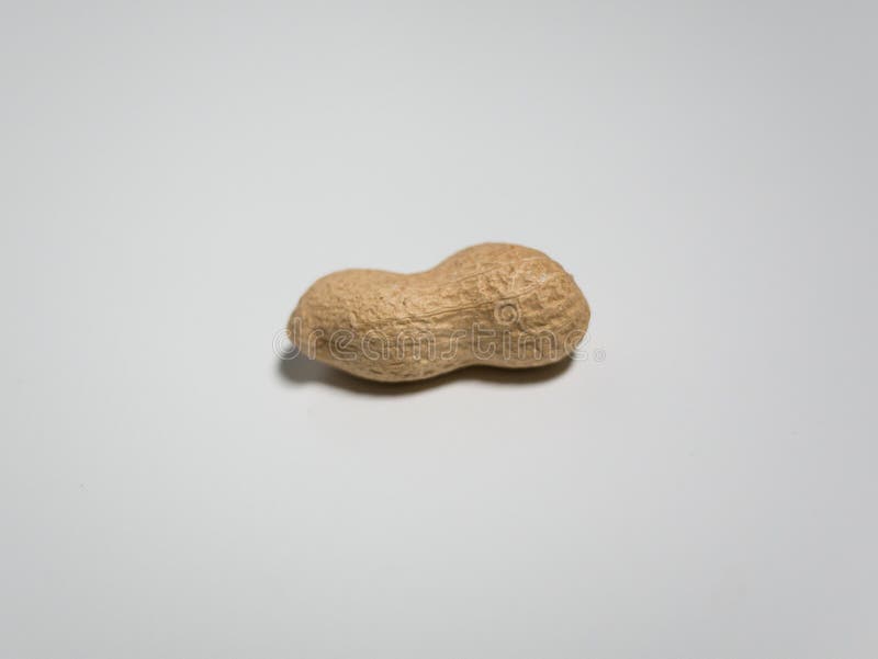 1,446 Unshelled Peanut Stock Photos Free & RoyaltyFree Stock Photos