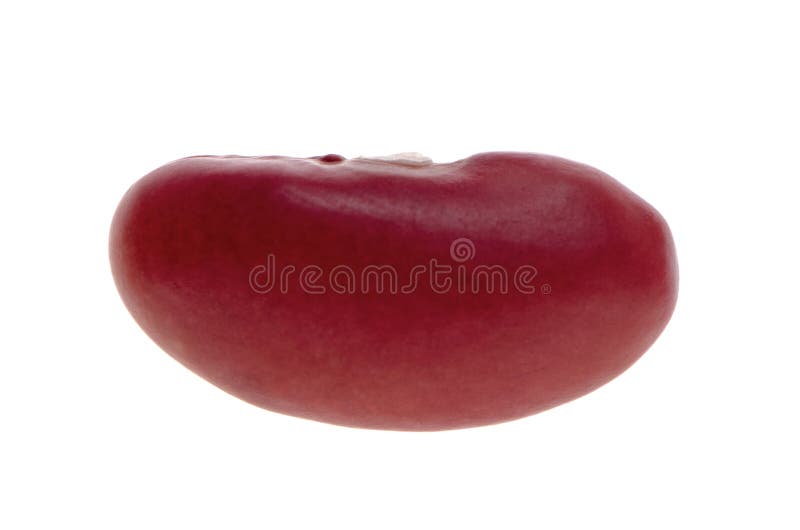 Single red bean