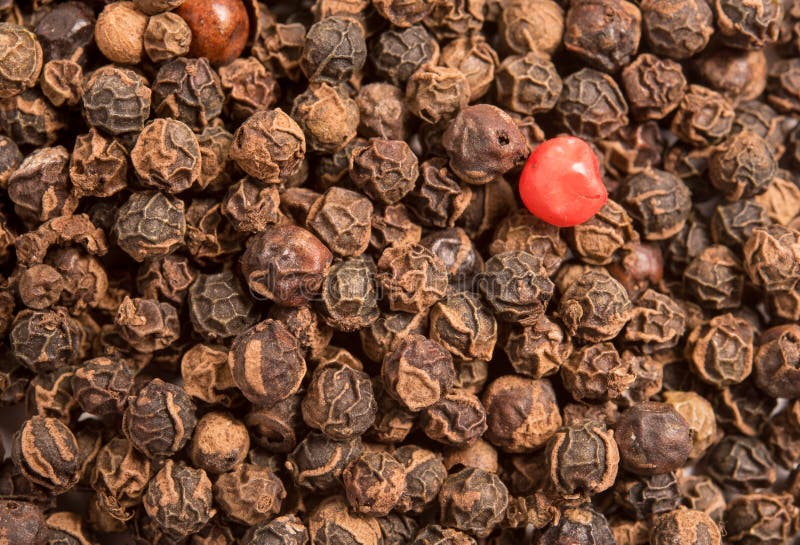 Single Red Peppercorn in a Dried Black Pepper Peppercorns. Stock Photo