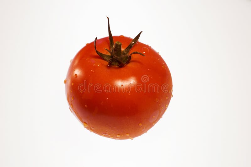 Single red, ripe tomato covered with water droplets viewed from