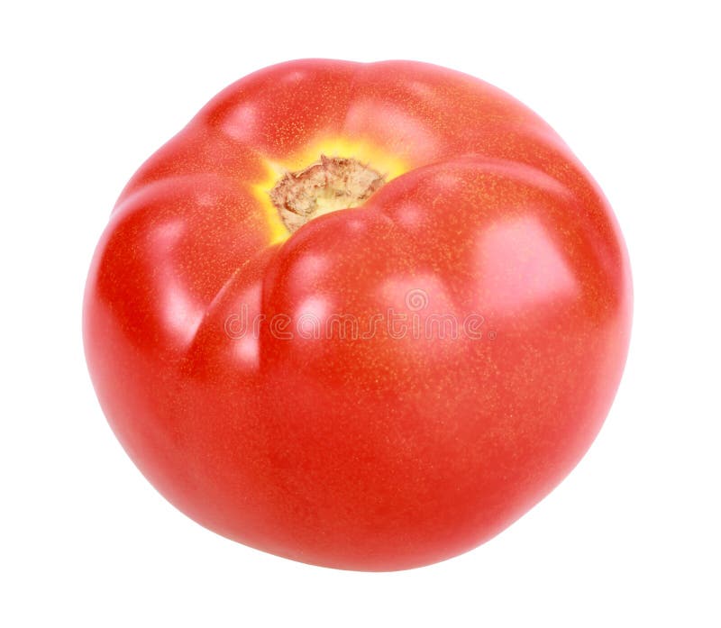 Single red tomato